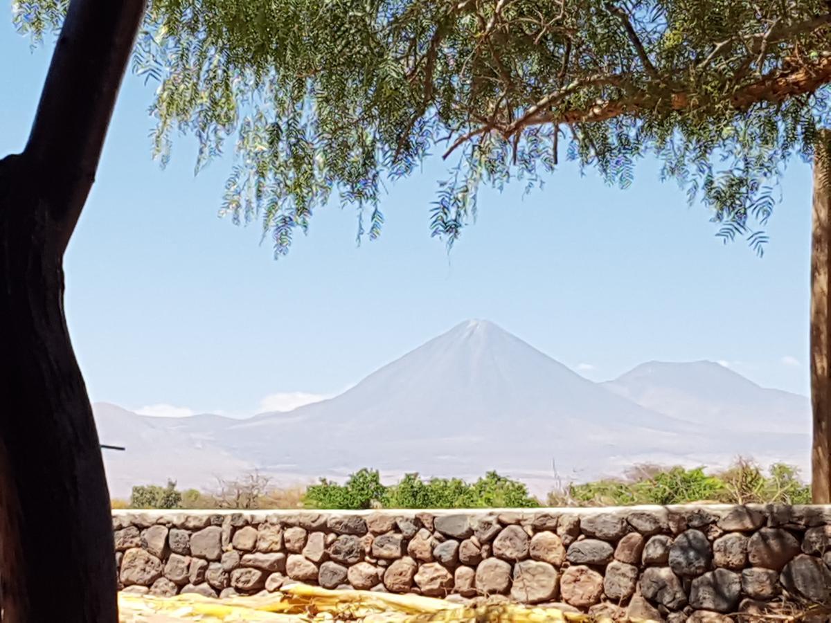 Lodge Don Felix San Pedro de Atacama Dış mekan fotoğraf